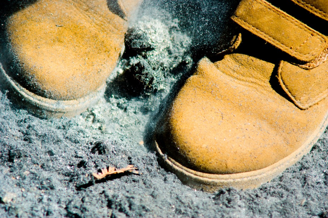 Shoes and ashes